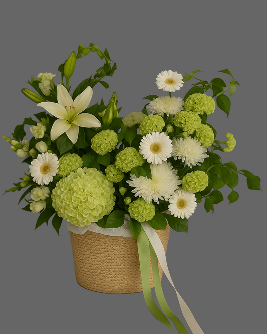 Green and white flower basket with hydrangeas, roses, gerberas, and airy grasses. Elegant natural floral arrangement with long green and white ribbons — handmade in Miami.
