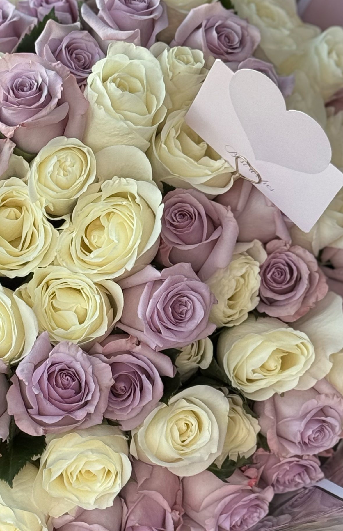 Elegant white and lavender rose bouquet with 100 fresh roses, perfect for luxury gifts and special occasions